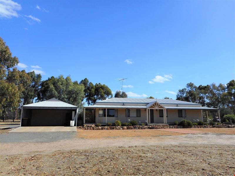 40 Shirley Street, Katanning WA 6317