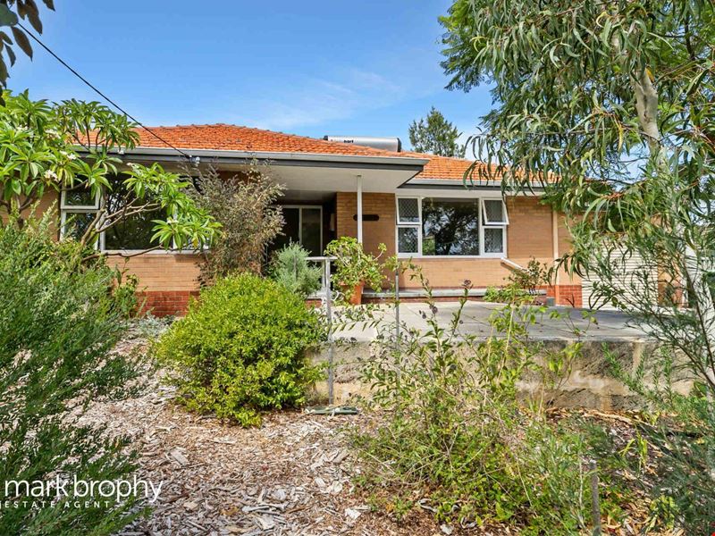11 Hereford Place, Spearwood WA 6163