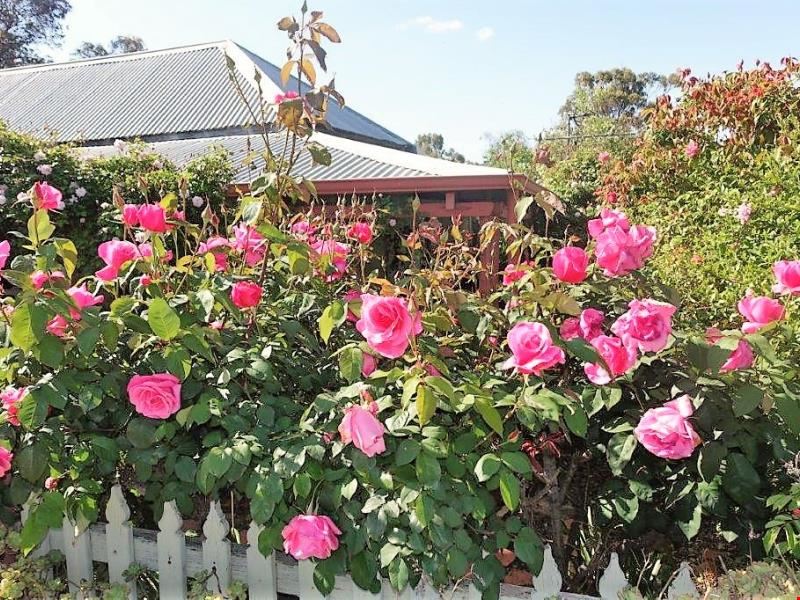 16 MAUD STREET, York WA 6302
