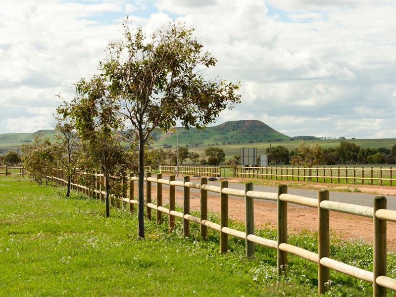 Lot 266 Eastlyn Drive, Deepdale WA 6532