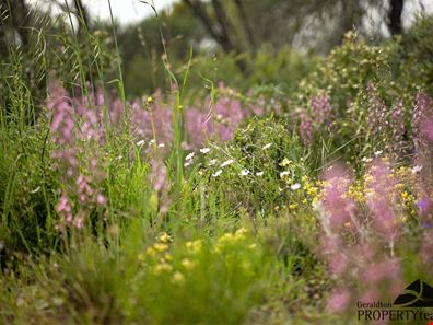 Lot 61 North West Coastal Highway, Bowes WA 6535