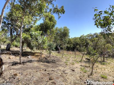 173 Kalamunda Road, Kalamunda WA 6076