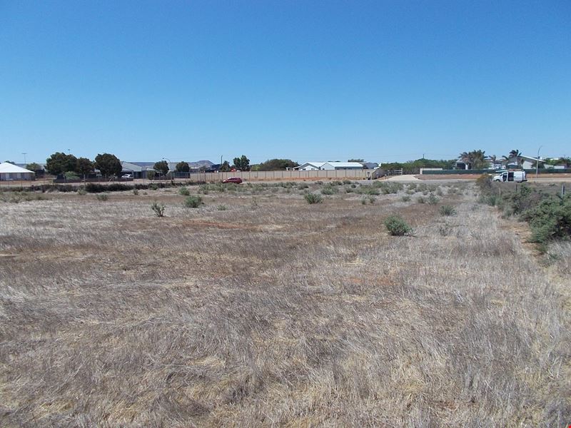 4 Lynch Way, Utakarra WA 6530