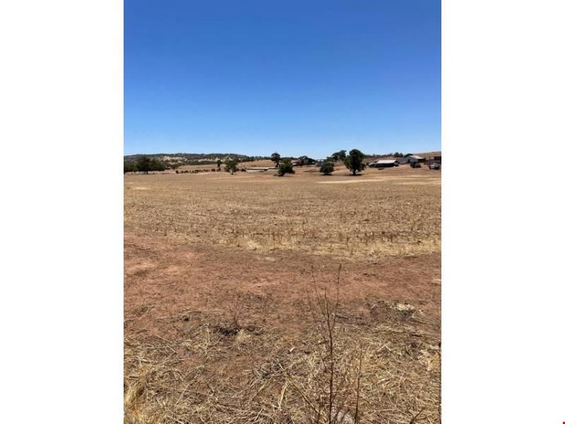Lot 58 OSBORN ROAD, Mount Hardey WA 6302