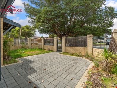 5/143 Ravenscar Street, Doubleview WA 6018