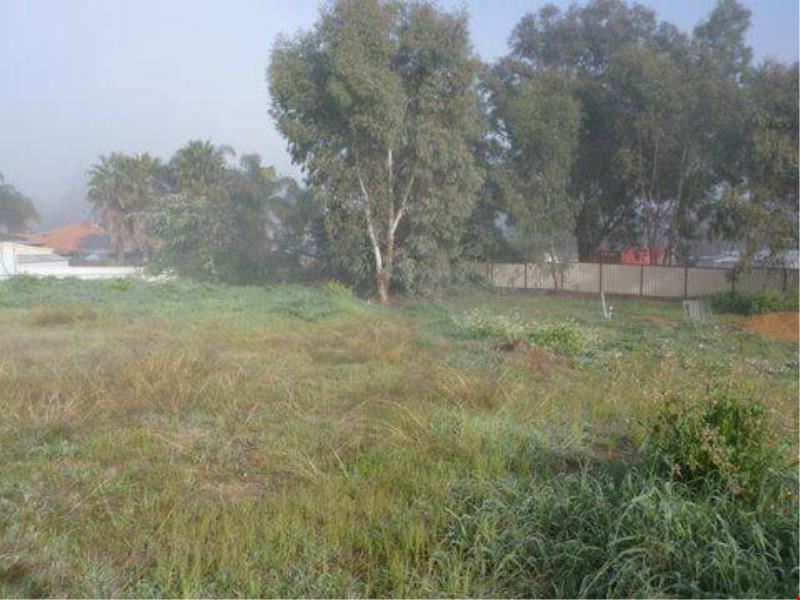 16 Pecan Place, Boddington WA 6390