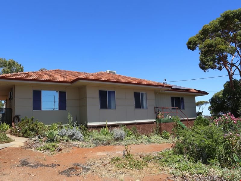 20 Blackbutt Street, Kambalda East WA 6442