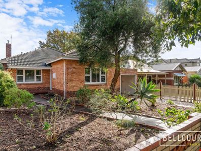 59 Federation Street, Mount Hawthorn WA 6016