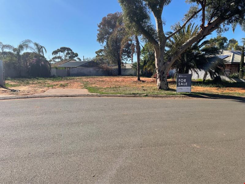 6 Hartrey Lane, Hannans WA 6430