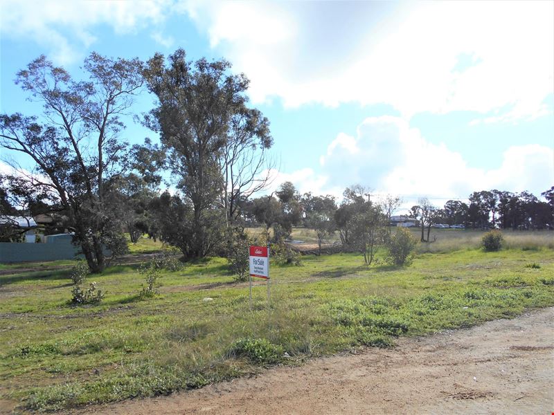 6 Macbride Place, Kojonup WA 6395