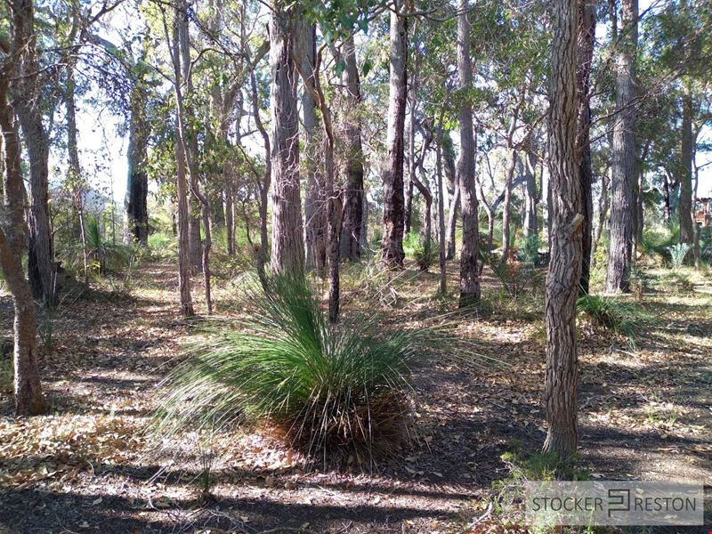 62 Sabina Drive, Molloy Island WA 6290
