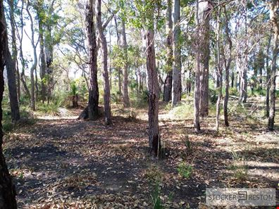 62 Sabina Drive, Molloy Island WA 6290