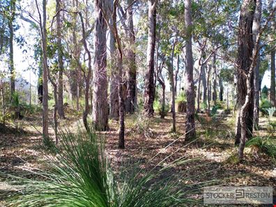62 Sabina Drive, Molloy Island WA 6290