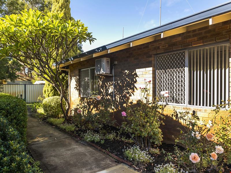 51/10 Houtmans Street, Shelley WA 6148