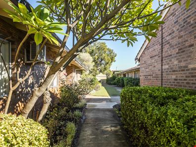 51/10 Houtmans Street, Shelley WA 6148