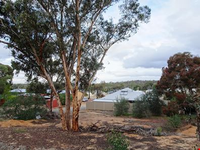 7 Mc Cormick Way, Narrogin WA 6312