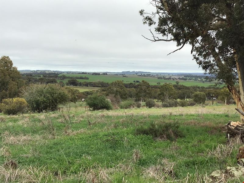 Lot 43/ Lucas Court, Bejoording WA 6566