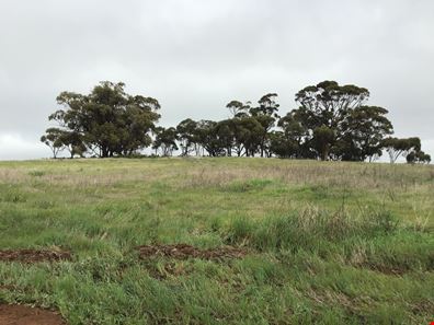 Lot 43/ Lucas Court, Bejoording WA 6566