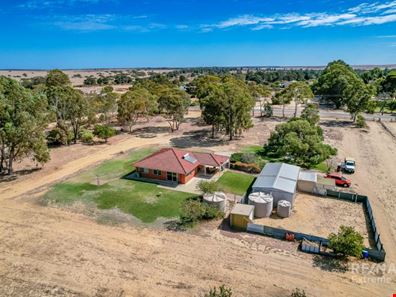 55 Blue Gum Crescent, Gabbadah WA 6041