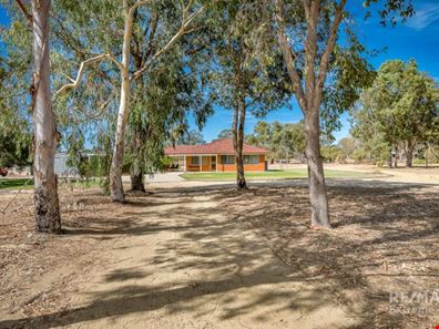 55 Blue Gum Crescent, Gabbadah WA 6041
