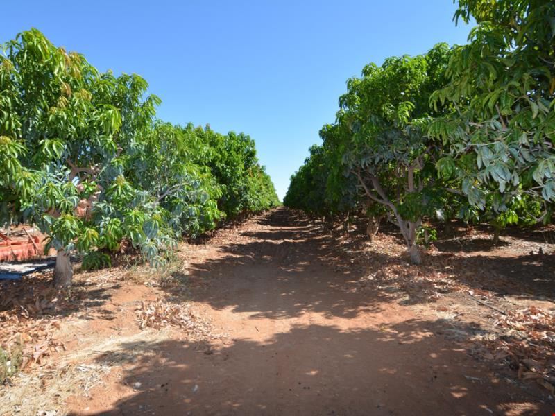 219 McGlades Road, Carnarvon WA 6701