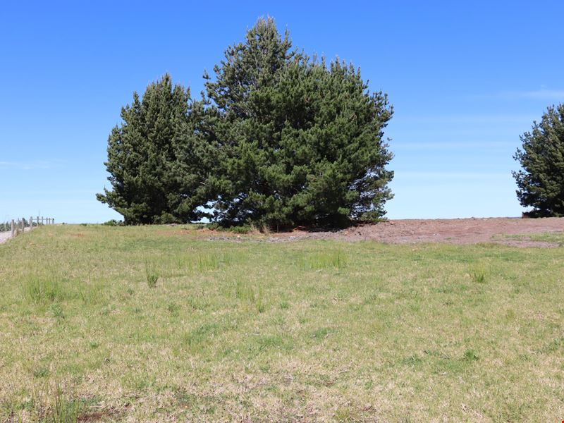118/ Beaufortia Gardens, Denmark WA 6333
