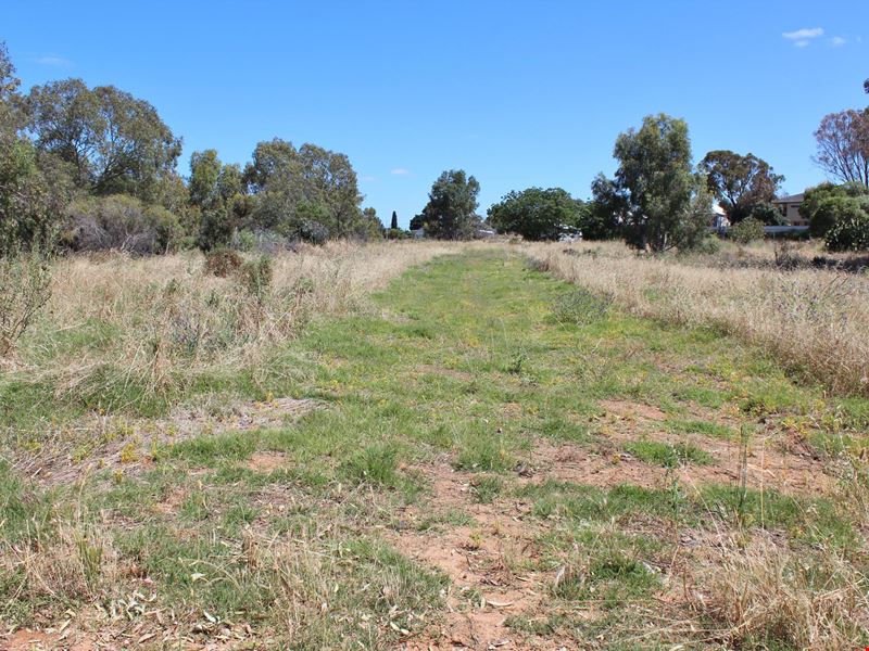 21 Mitchell Avenue, Northam WA 6401