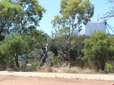 21 Mitchell Avenue, Northam WA 6401