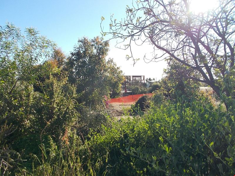 125 Hampton Road, Northampton WA 6535
