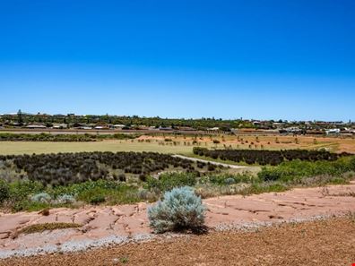 105 McAleer Drive, Mahomets Flats WA 6530