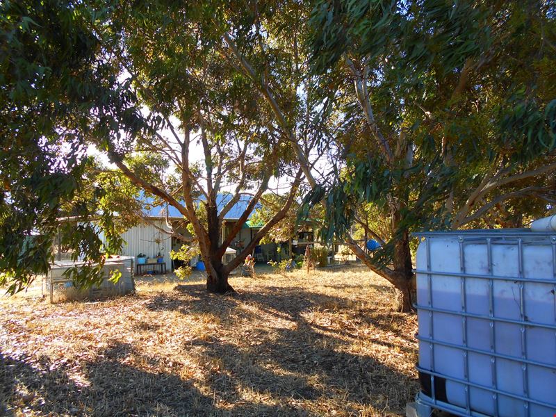 391 Chillicup Road, Broomehill Village WA 6318