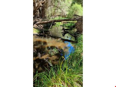 64 Robinson  Street, Gingin WA 6503