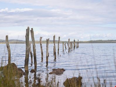 Lot 228 Hibbertia Way, Denmark WA 6333