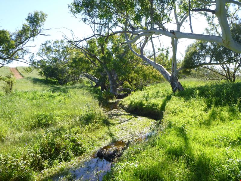 56 King Street, Isseka WA 6535
