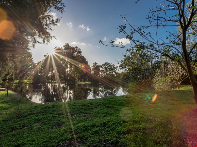 23 Hetherington Close, Jarrahdale WA 6124