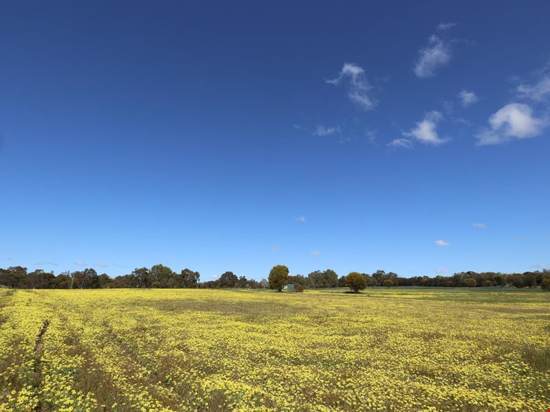 291 Graham Road, Narrogin WA 6312