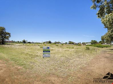 18 Green Street, Spalding WA 6530