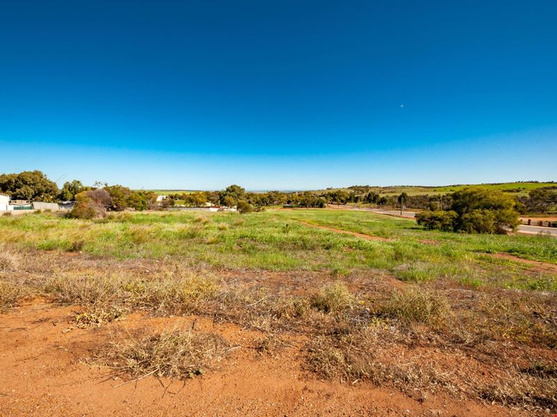 3 Grey Street, Northampton WA 6535