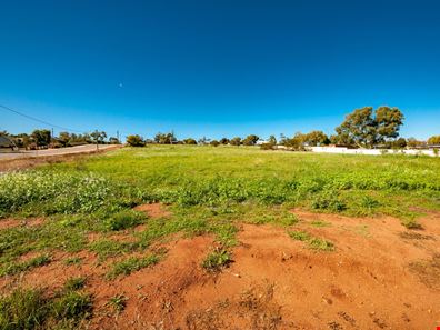 3 Grey Street, Northampton WA 6535