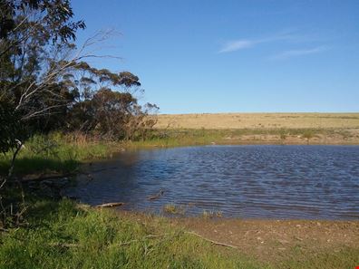 Lot 201 South Coast Highway, Ravensthorpe WA 6346