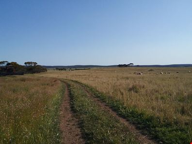 Lot 201 South Coast Highway, Ravensthorpe WA 6346