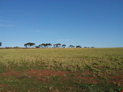 Lot 201 South Coast Highway, Ravensthorpe WA 6346