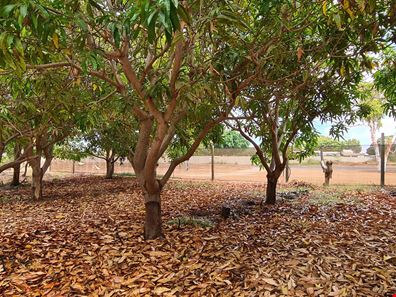 Lot 201 Robinson Street, Carnarvon WA 6701