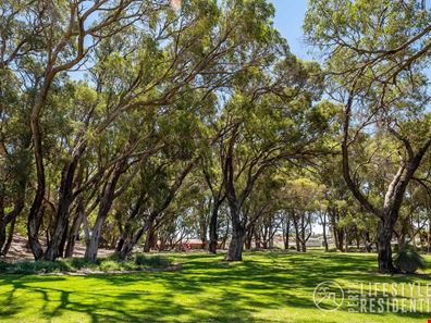 11 Augusta Grove, Yanchep WA 6035