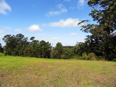 Lot 224 Peace Street, Denmark WA 6333