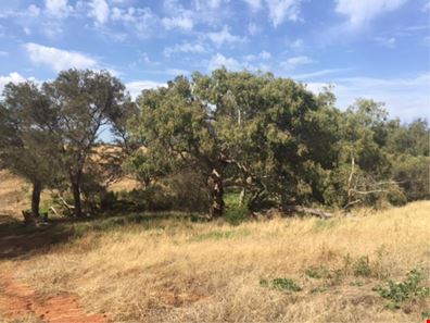Lot 1148 Horrocks Road, Sandy Gully WA 6535