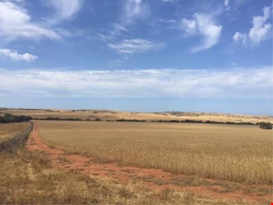 Lot 1148 Horrocks Road, Sandy Gully WA 6535