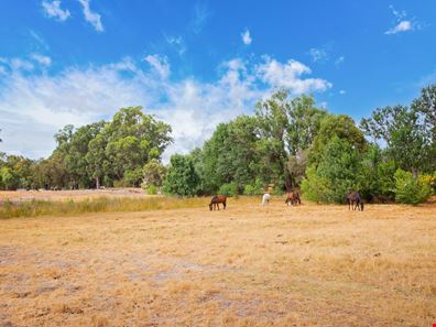 245 DUCANE ROAD, Gelorup WA 6230