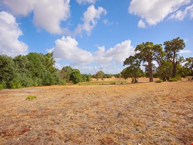 245 DUCANE ROAD, Gelorup WA 6230