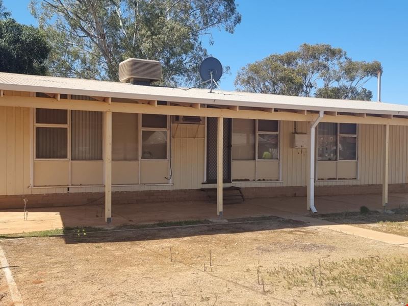 57 Williamson Street, Three Springs WA 6519